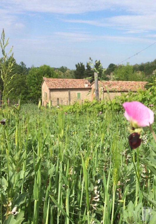 En Italie, au sud-est de Bologne, une ancienne église du 13e siècle et sa maison attenante - photo  n°25