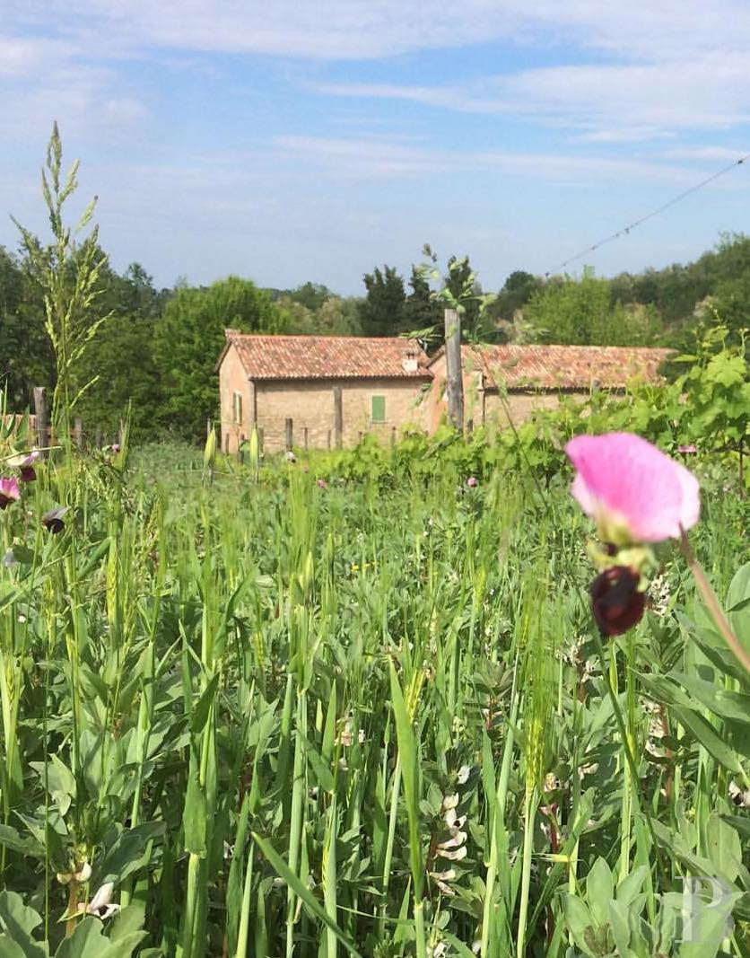En Italie, au sud-est de Bologne, une ancienne église du 13e siècle et sa maison attenante - photo  n°25