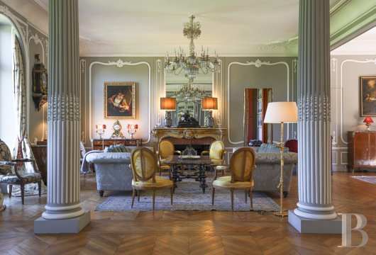 chateaux for sale France pays de loire   - 9
