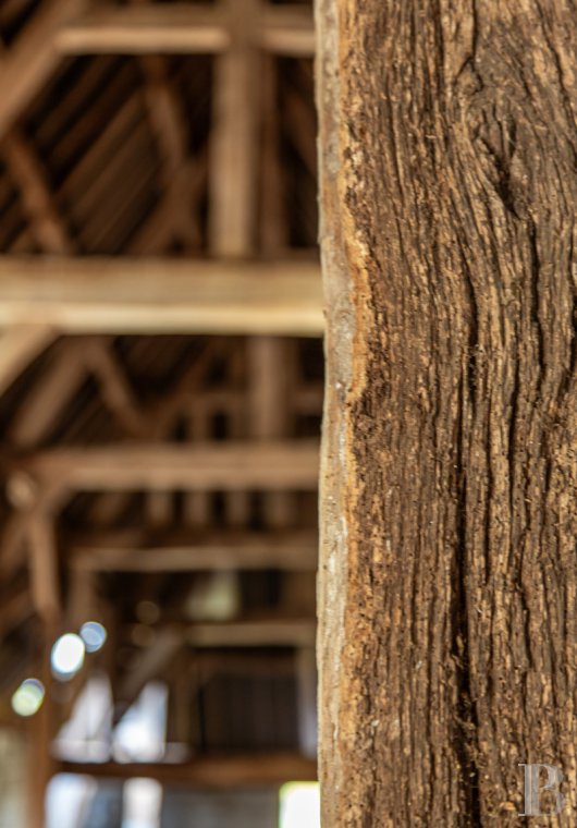 Ruins for sale - upper-normandy - Au cœur de la forêt normande, à 45 min de Honfleur et 150 km de Paris,  une grange dîmière du 12e s. à restaurer, sa dépendance et son terrain de 5 000 m²