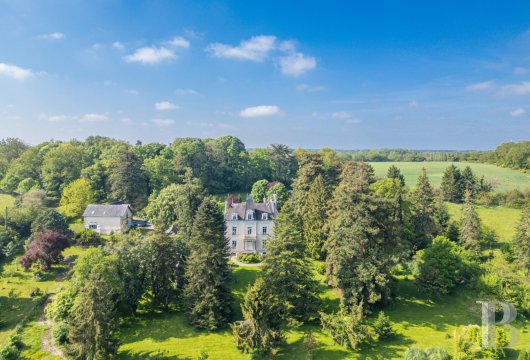 chateaux for sale France pays de loire   - 1