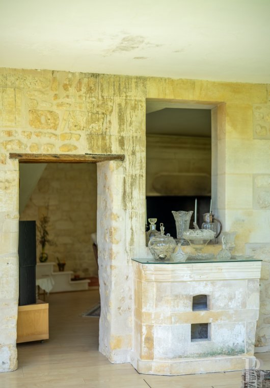 properties in town poitou charentes   - 6 properties in town poitou charentes   - 6