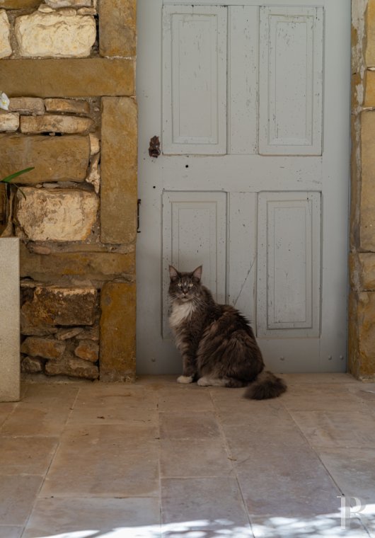 A village château dating back to the 12th century between Nîmes and Uzès in the Gard - photo  n°34