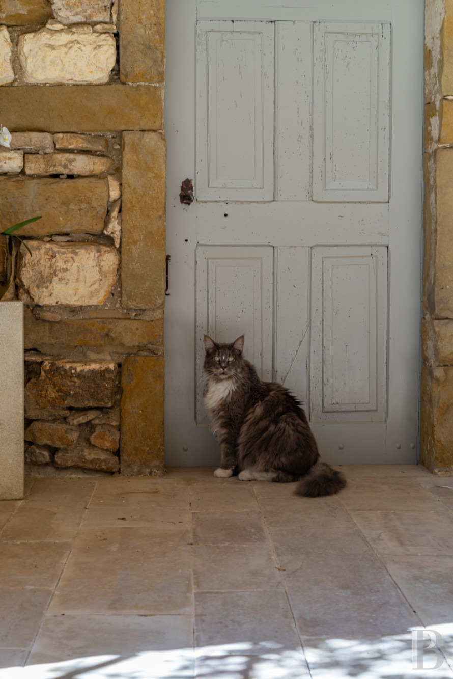 A village château dating back to the 12th century between Nîmes and Uzès in the Gard - photo  n°34