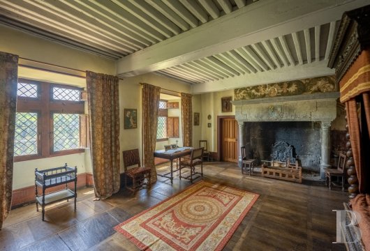 chateaux for sale France auvergne   - 14