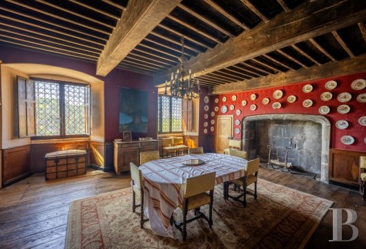chateaux for sale France auvergne   - 10