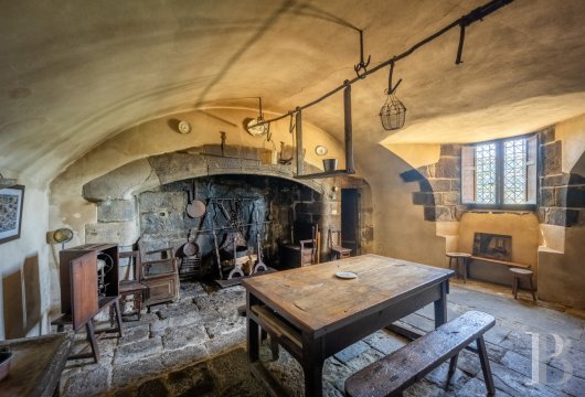 chateaux for sale France auvergne   - 11