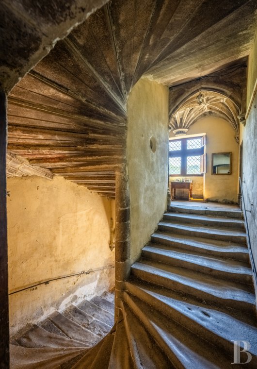 chateaux for sale France auvergne   - 17