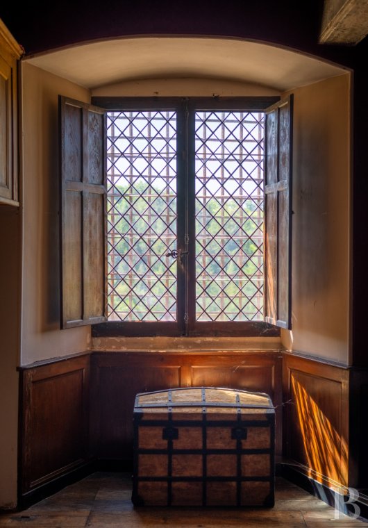 chateaux for sale France auvergne   - 9