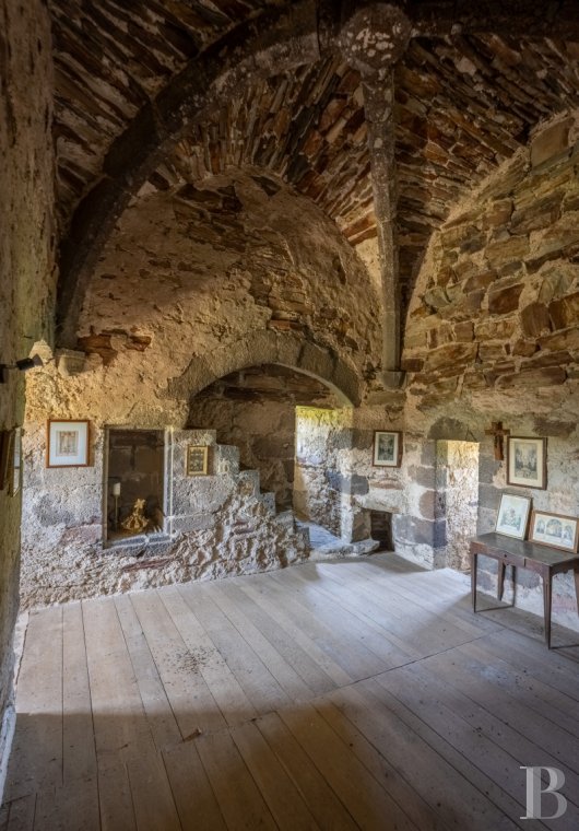 chateaux for sale France auvergne   - 16