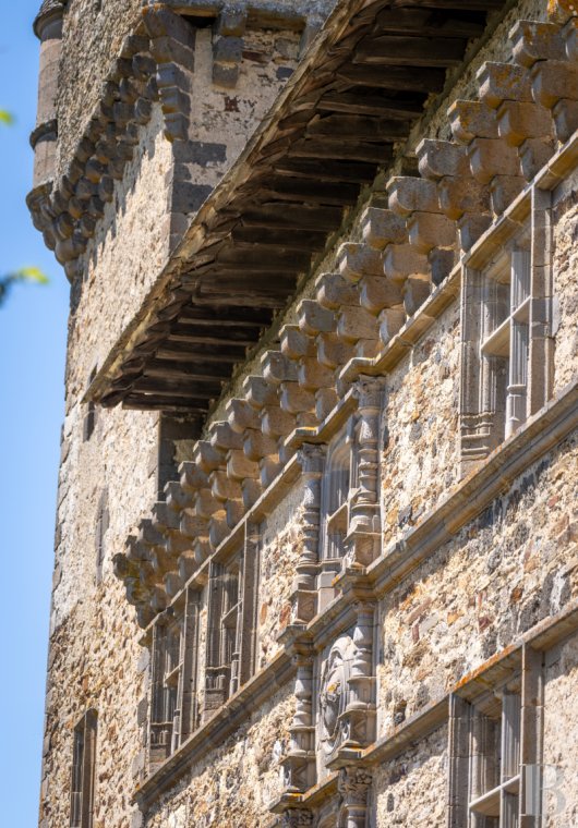 chateaux for sale France auvergne   - 7