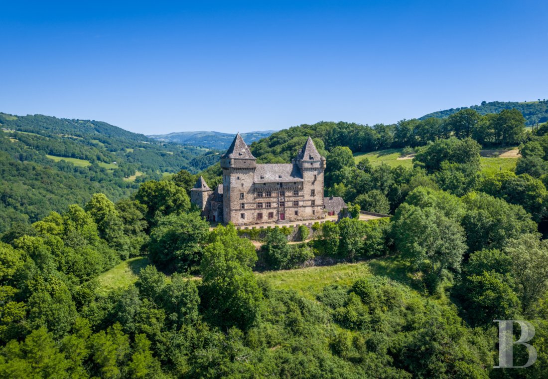 Castles / chateaux for sale - auvergne - À la frontière du Cantal et de l'Aveyron, au surplomb de la vallée du Goul,  un château du Moyen âge et de la Renaissance, sur un terrain de 15 ha