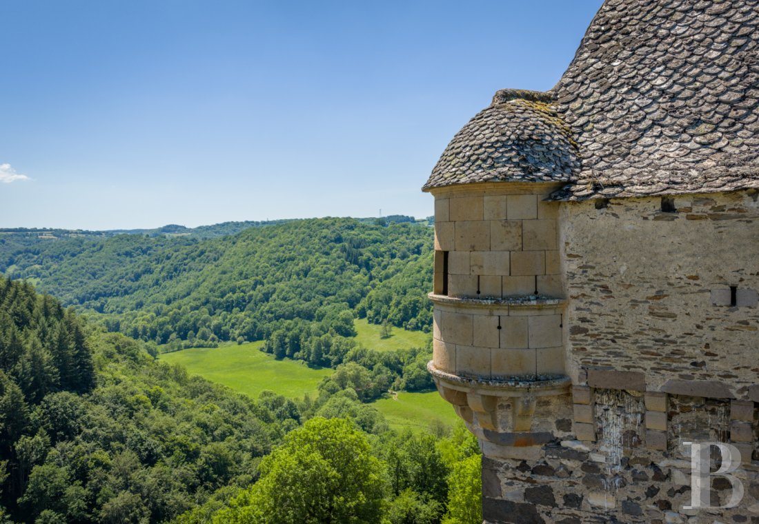 chateaux for sale France auvergne   - 18