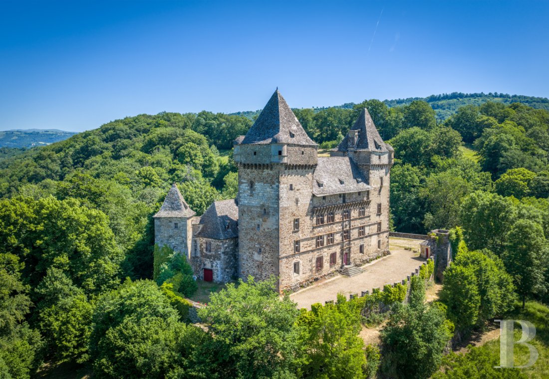 chateaux for sale France auvergne   - 2