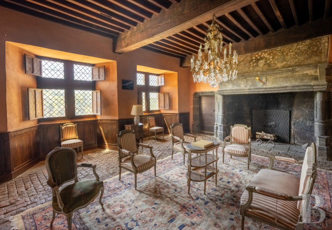 chateaux for sale France auvergne   - 12