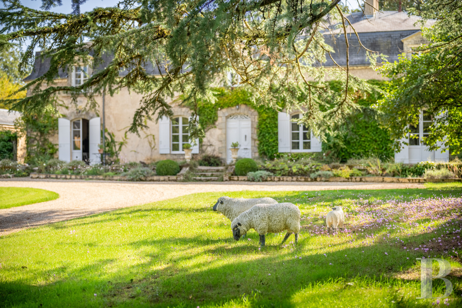 A completely renovated 19th-century country house and its farm south of Périgueux, in the Périgord Noir region  - photo  n°1