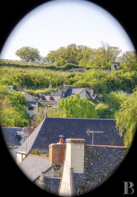 maisons de caractere a vendre pays de loire   - 3