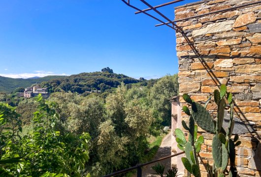 french village houses for sale corse   - 14