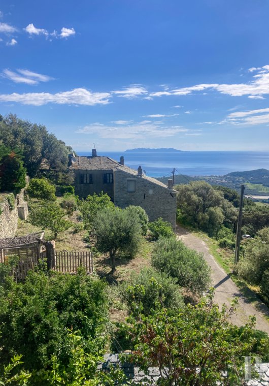 french village houses for sale corse   - 16