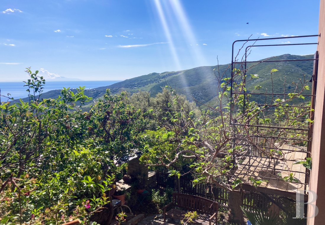 french village houses for sale corse   - 18
