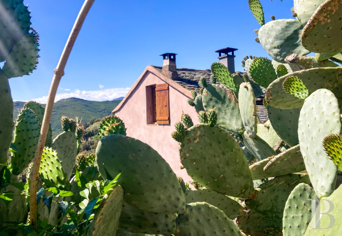 french village houses for sale corse   - 1