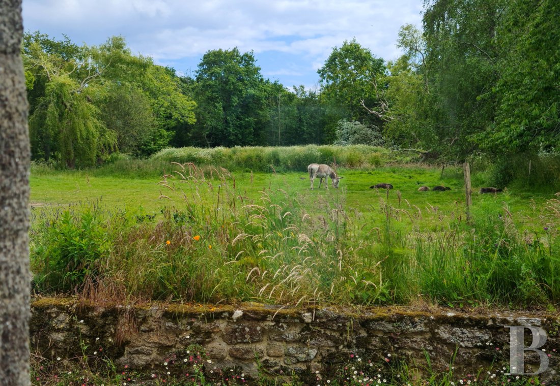 character properties France brittany   - 23