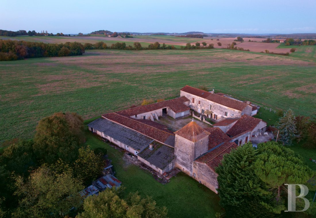 France mansions for sale poitou charentes   - 1