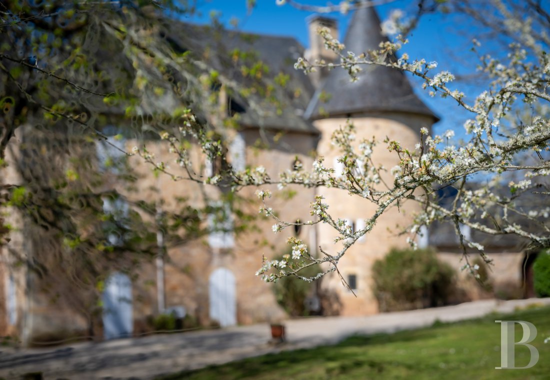 chateaux for sale France limousin   - 13