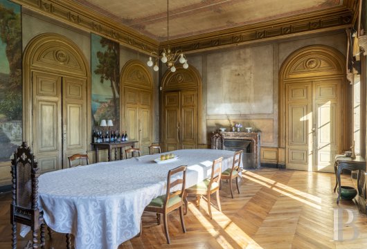 chateaux a vendre rhones alpes   - 10