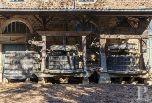 chateaux a vendre rhones alpes   - 21