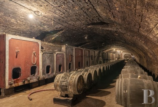 An 1850s mansion, with a wine store and estate keeper’s house, in 2 hectares of landscaped grounds, 45 minutes from Lyon, on top of a hill in the Beaujolais vineyards