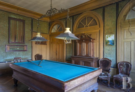 chateaux a vendre rhones alpes   - 15