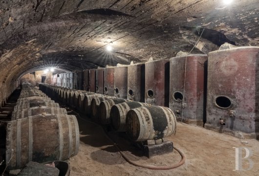 chateaux a vendre rhones alpes   - 20