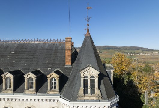 chateaux a vendre rhones alpes   - 4
