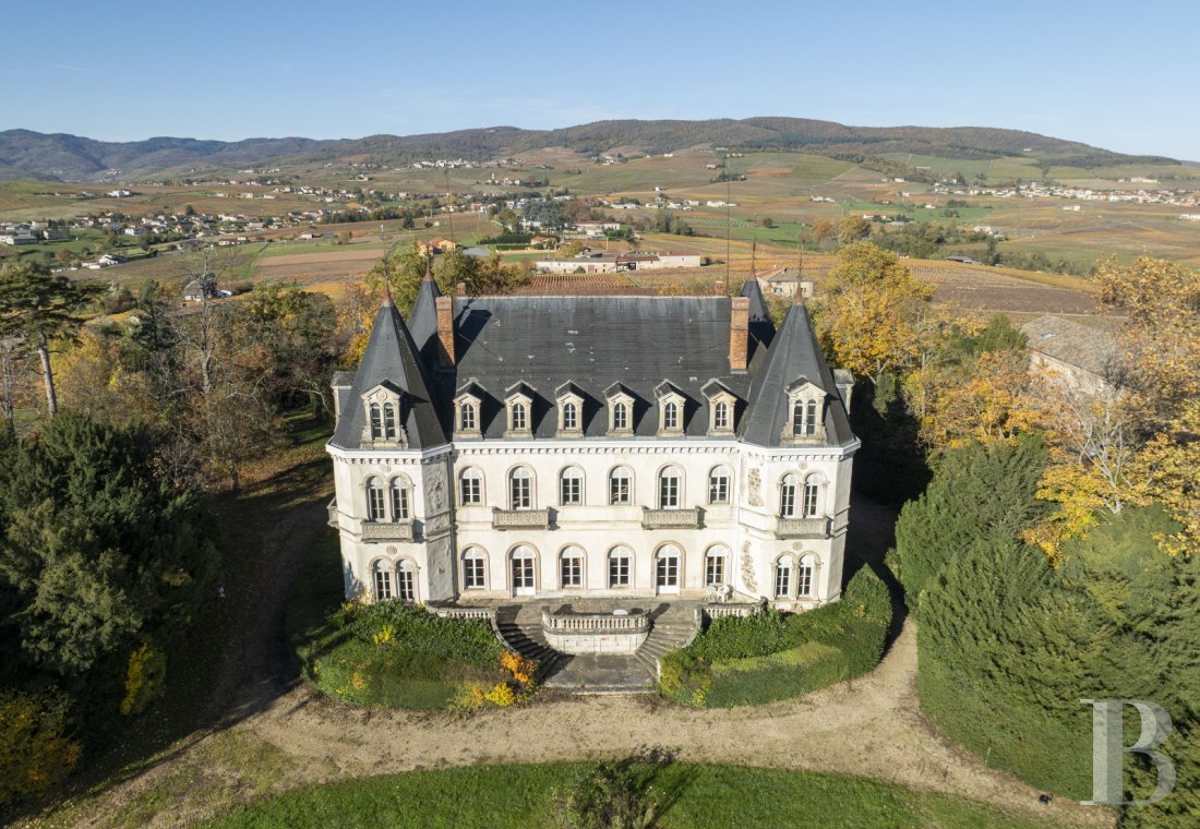 chateaux a vendre rhones alpes   - 1