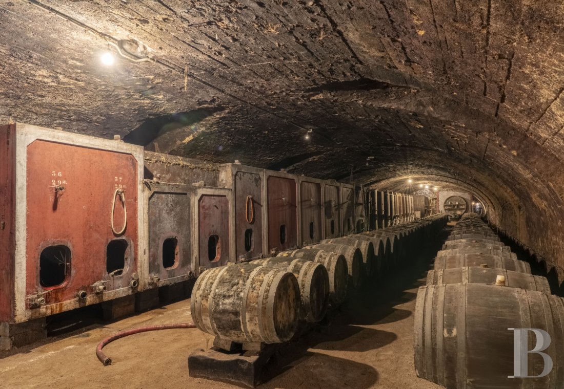 chateaux for sale France rhones alps   - 1