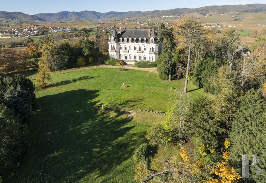 chateaux a vendre rhones alpes   - 22