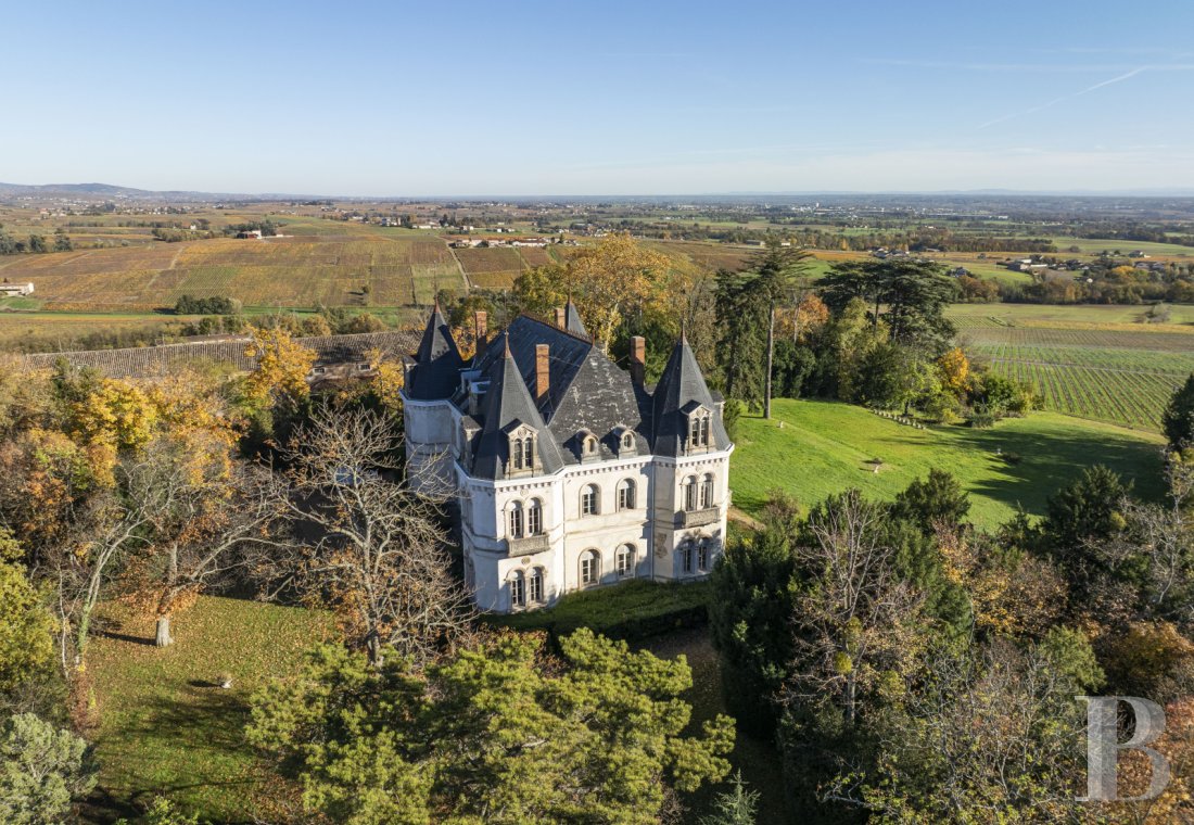 chateaux a vendre rhones alpes   - 2