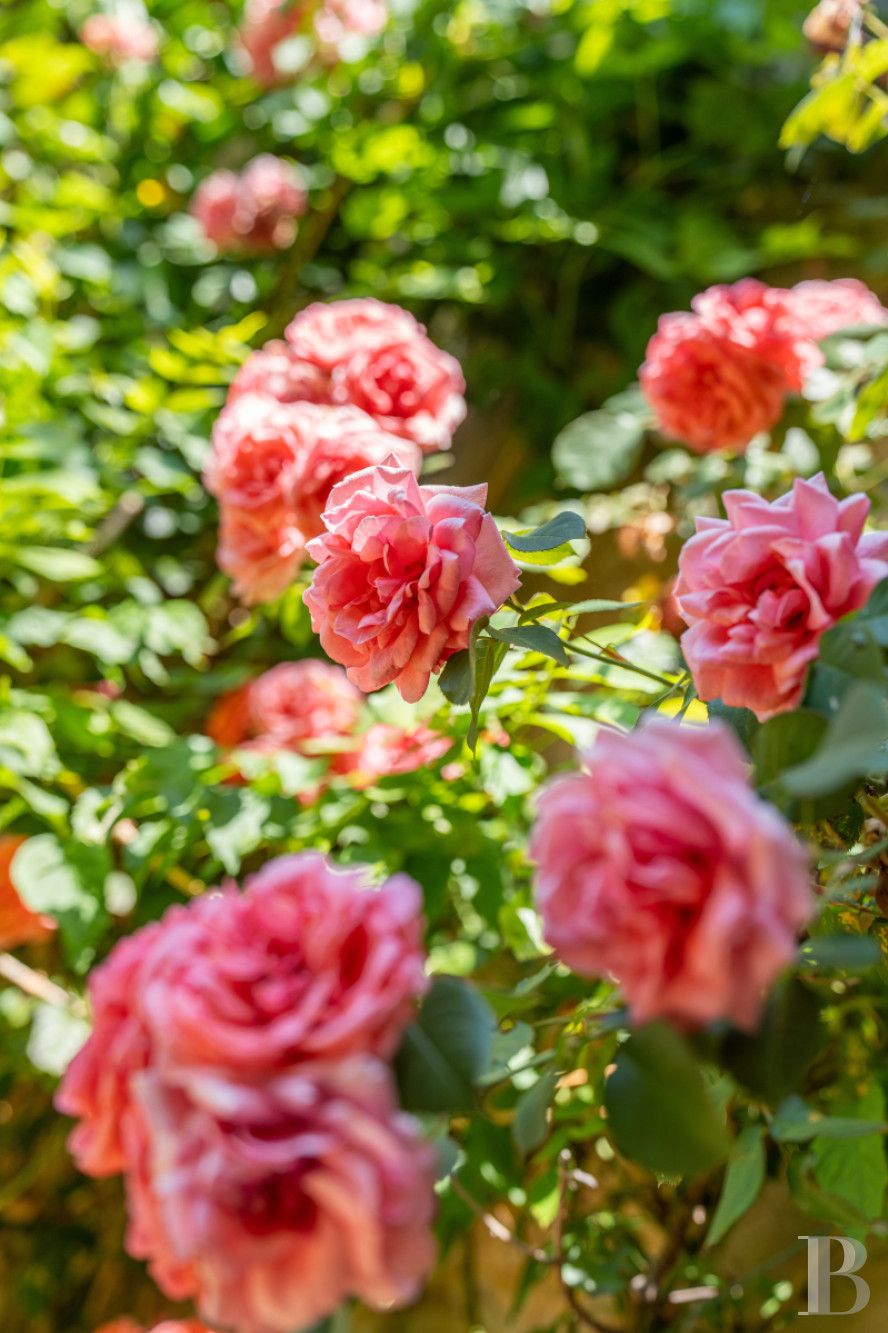 À Sabran, dans le Gard, un mas de la fin du 18e siècle entre vignes et sous-bois - photo  n°6