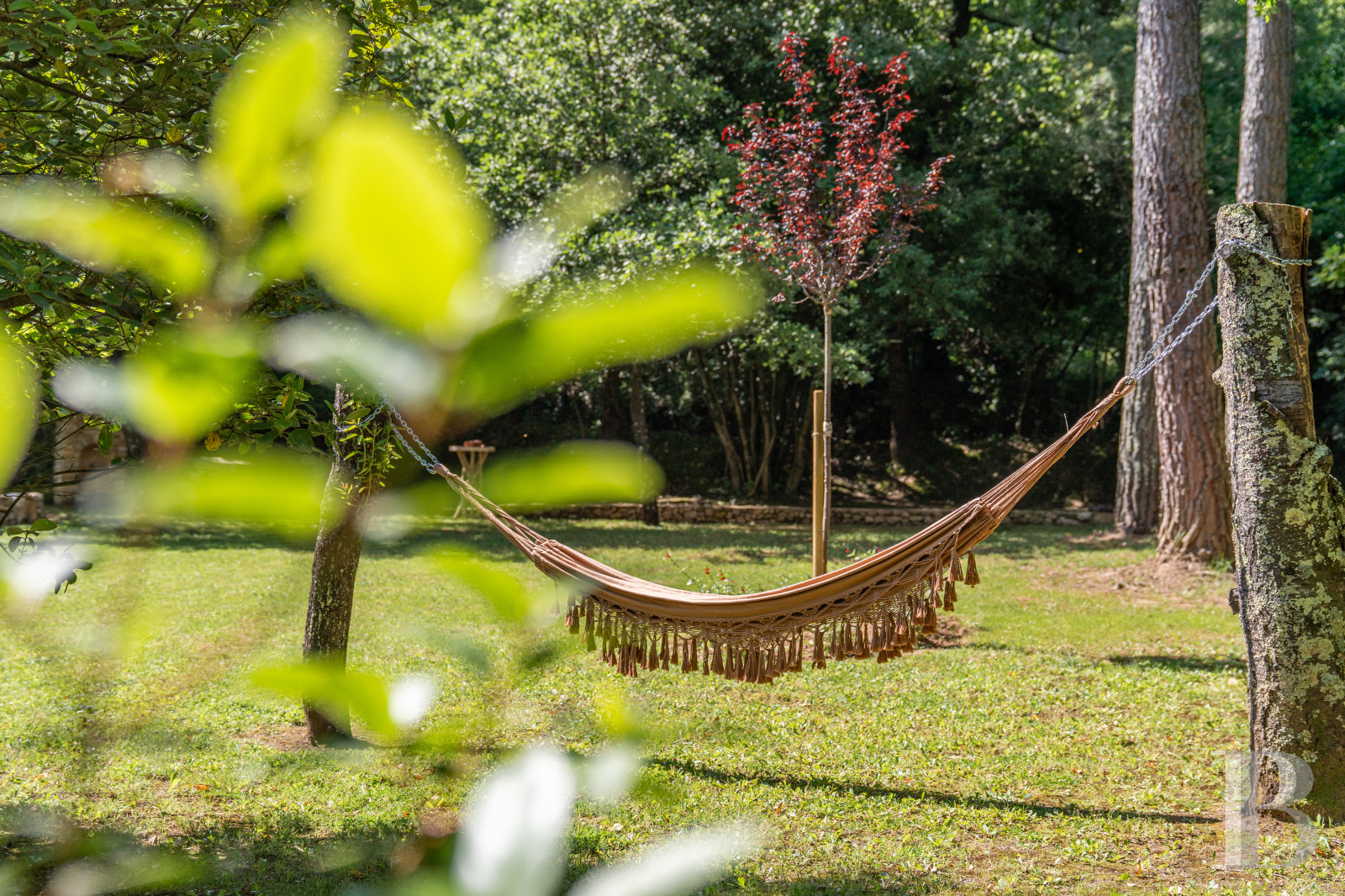 À Sabran, dans le Gard, un mas de la fin du 18e siècle entre vignes et sous-bois - photo  n°46