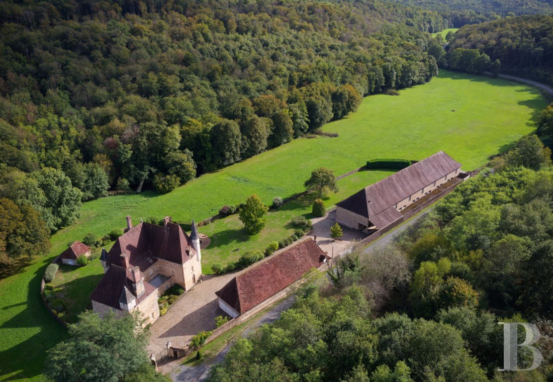 chateaux for sale France aquitaine   - 3