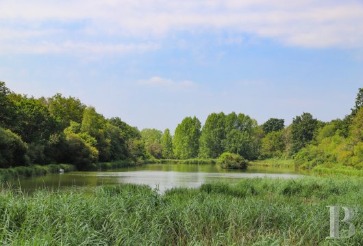 pays-de-loire - A 92-hectare fully enclosed estate in the Anjou area, near to the  Loire River, with a main house, second home and outbuildings.