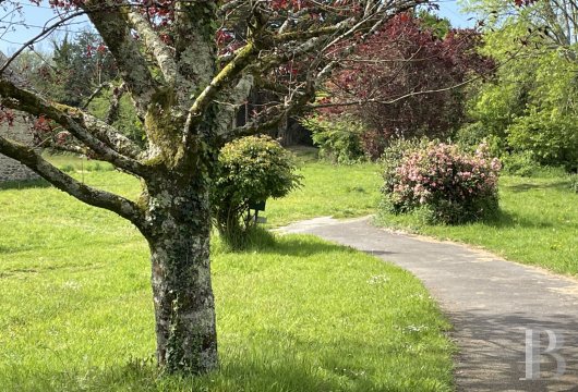 character properties France brittany   - 3