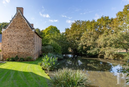chateaux a vendre pays de loire   - 19