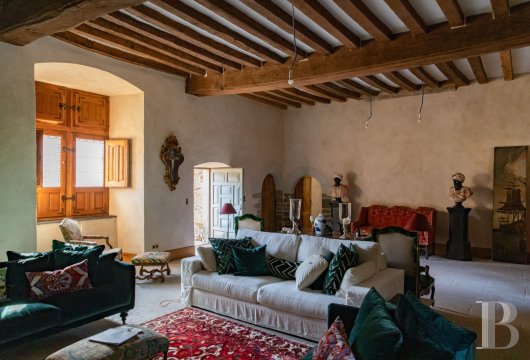 chateaux a vendre pays de loire   - 8