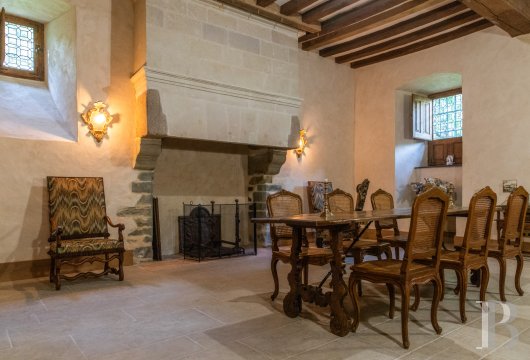 chateaux a vendre pays de loire   - 12