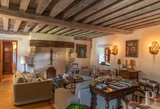 chateaux a vendre pays de loire   - 10