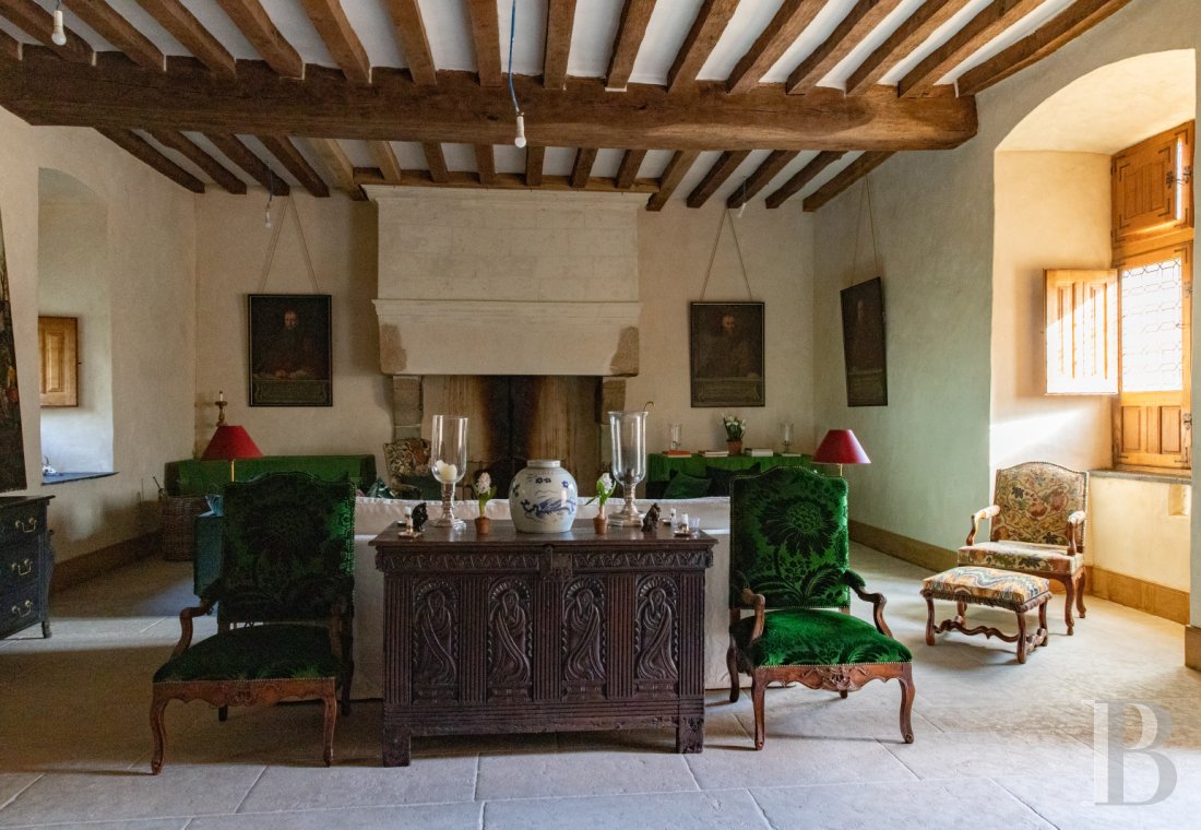 chateaux a vendre pays de loire   - 7