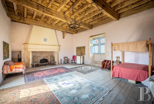 chateaux a vendre midi pyrenees   - 15