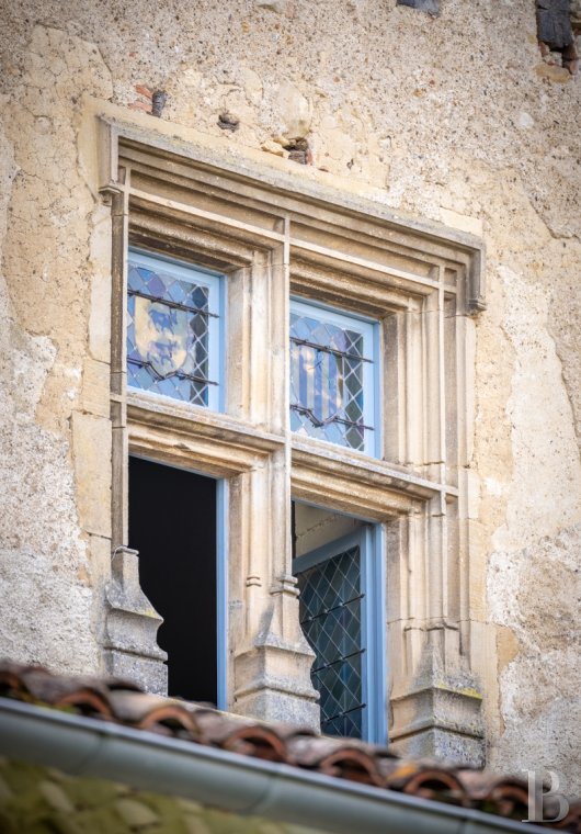 chateaux a vendre midi pyrenees   - 7